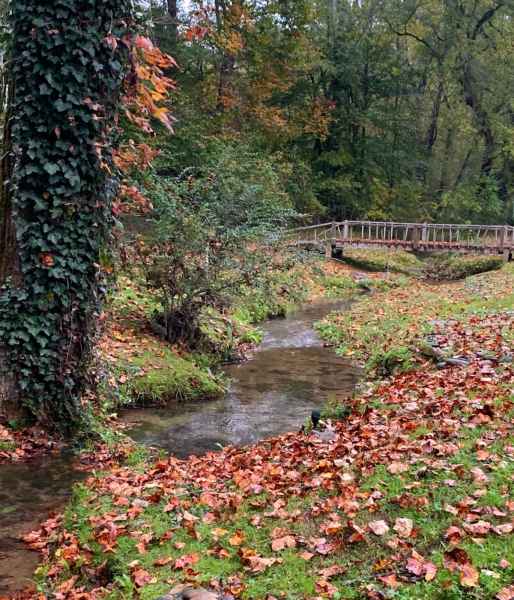 View of Hines Creek flowing to the wood bridge